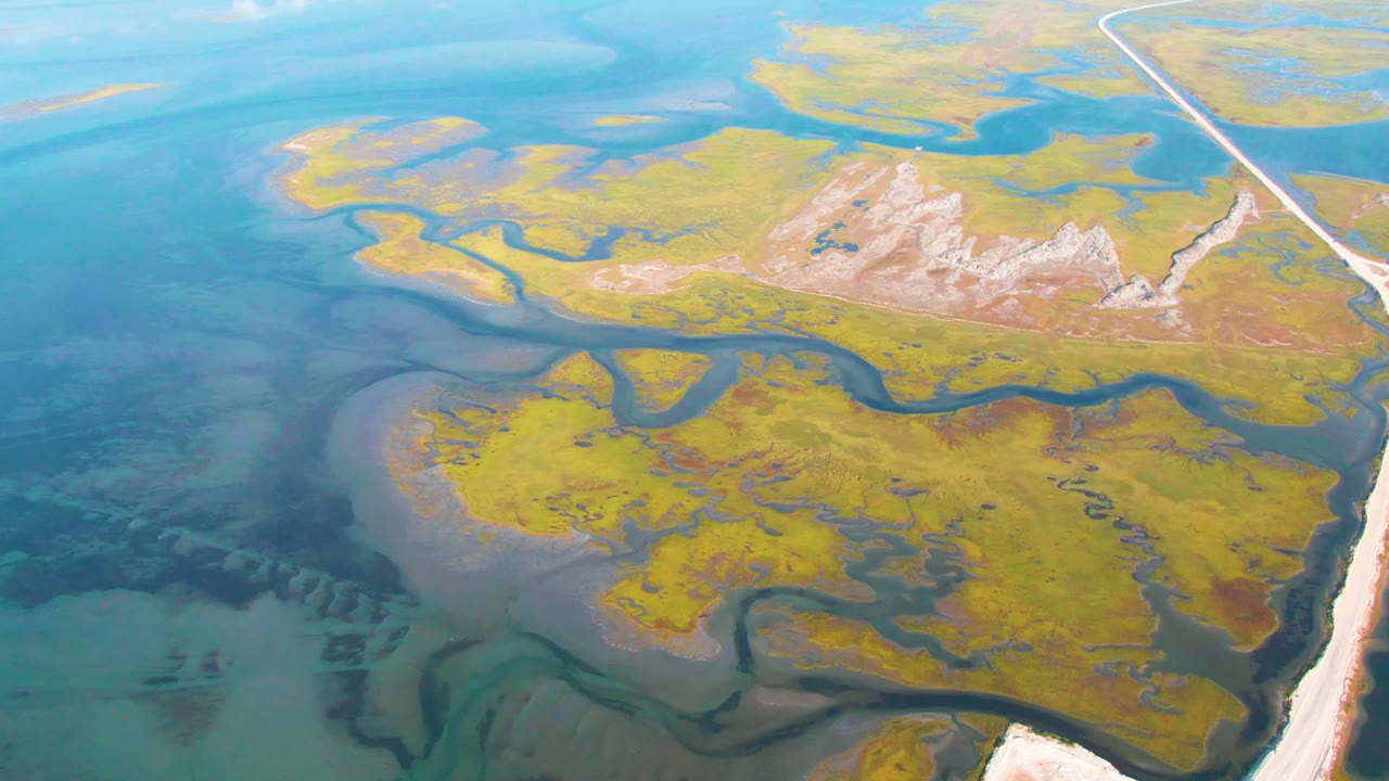 Aerial view of Guerrero Negro marshland with shallow blue water on the left, yellow green wetland islands through the middle, pale exposed ground near the top, a narrow right-side road, and no visible people.