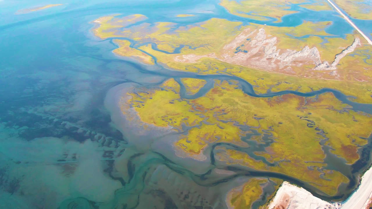 Aerial wetland flats crossed by dark channels beside blue-green water.