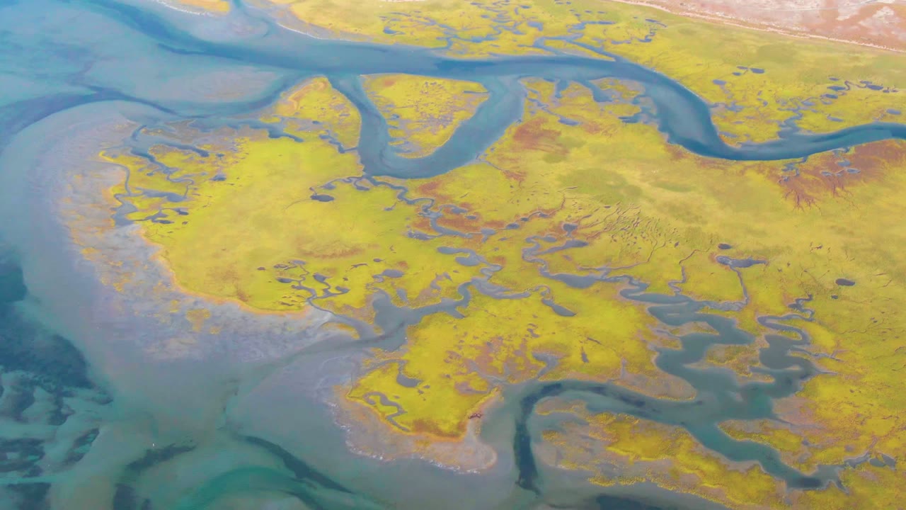 Overhead wetland channels with yellow land and broad blue water along the left edge.