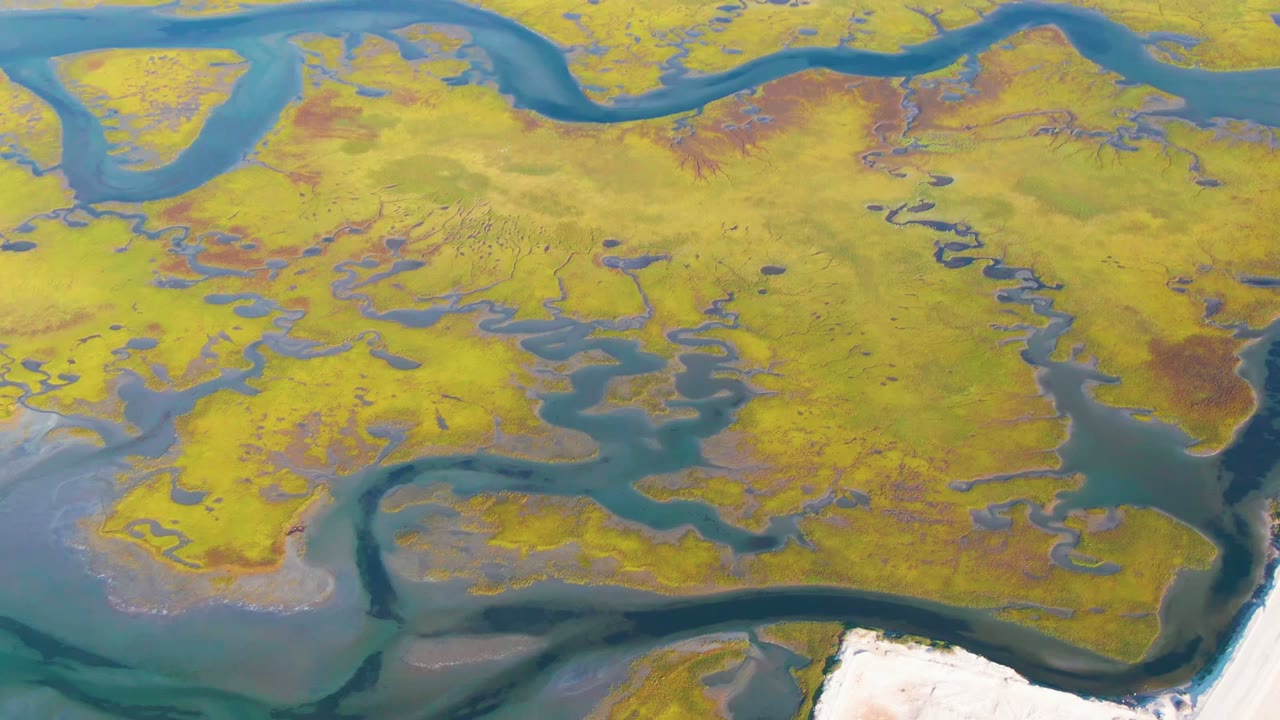Aerial view over Guerrero Negro wetlands with yellow-green marsh islands, branching blue waterways, pale ground at the lower right, and no visible people.