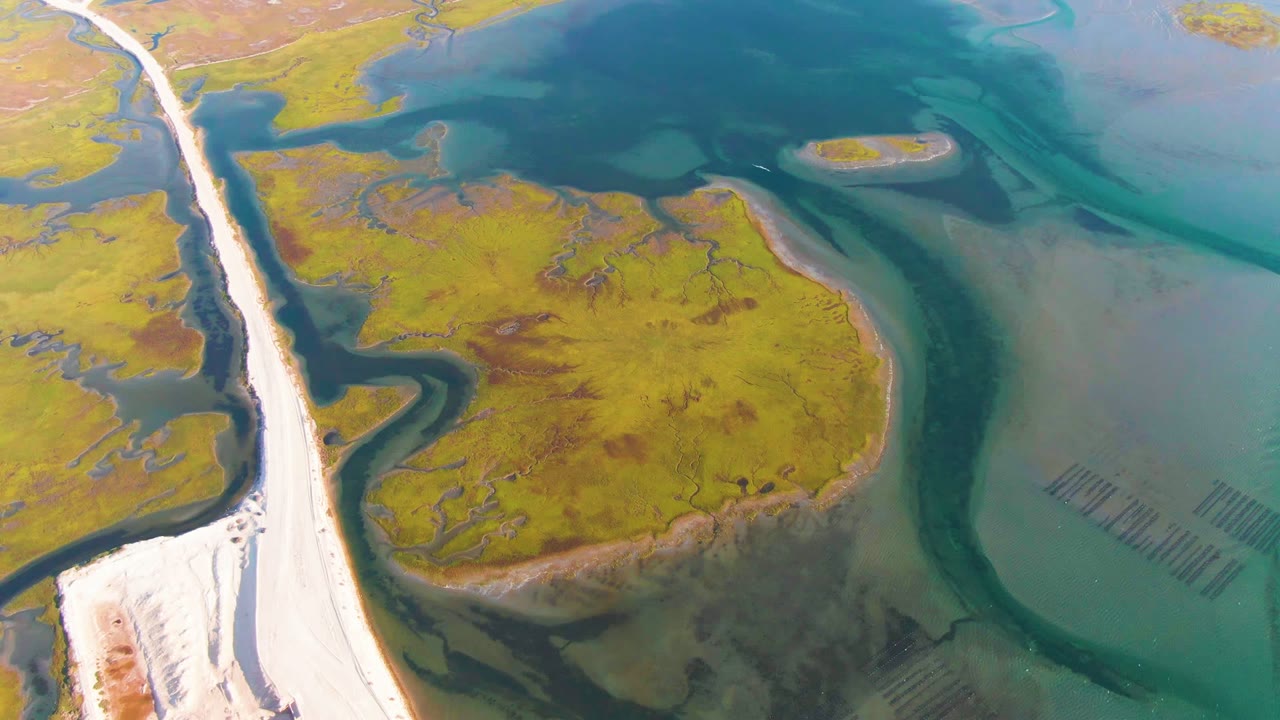 High aerial frame in Guerrero Negro showing the road tight to the left edge, yellow-green marshland below, shallow lagoon water to the right, channel curves, and no visible people.