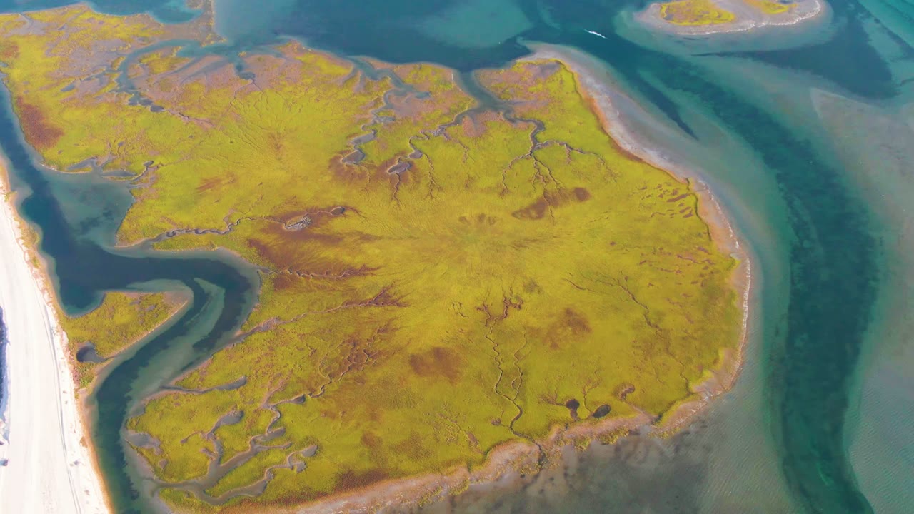 Aerial view of Guerrero Negro tidal flat with a yellow-green marsh island, branching dark channels, blue-green surrounding water, a pale dike at left, and no visible people.