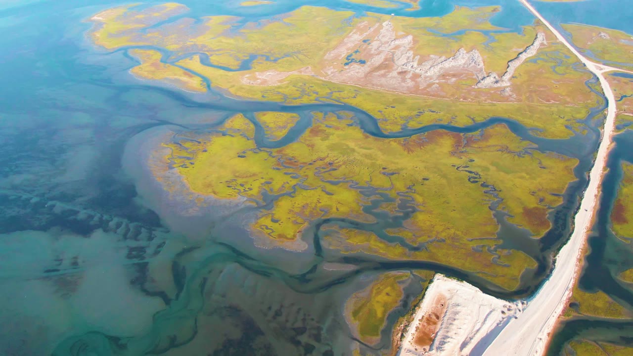 High aerial view over Guerrero Negro wetlands with green-yellow marsh, dark winding water channels, pale salt-toned ground, a straight road at right, and no visible people.
