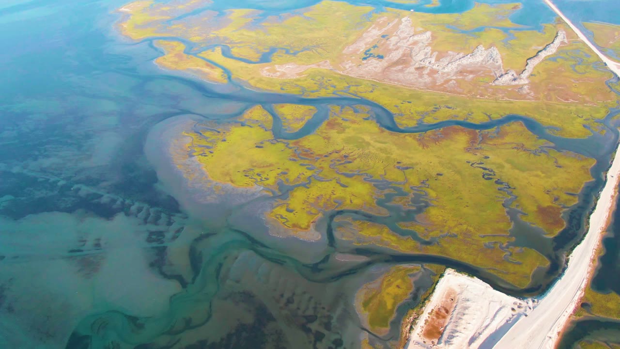Aerial view in Guerrero Negro showing shallow turquoise water, a broad yellow-green wetland area, darker channel bends, pale exposed ground, a road along the right edge, and no visible people.