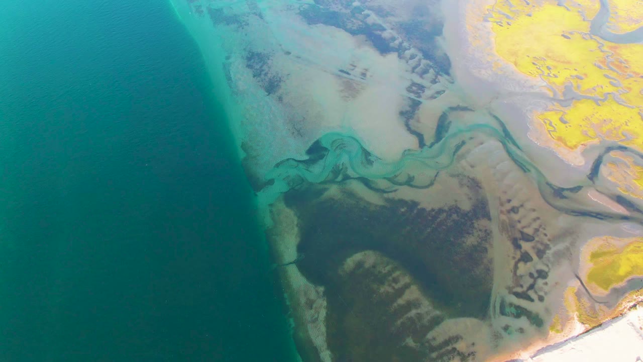 Aerial coastal delta with ocean at left and branching green water channels.