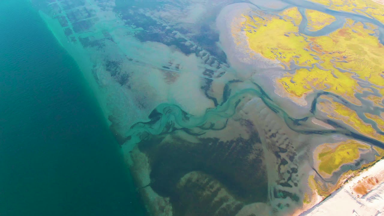 Overhead frame from Guerrero Negro, Baja California Sur, showing turquoise water at left, exposed gray-brown mudflats, yellow tidal ground at upper right, and no visible people.