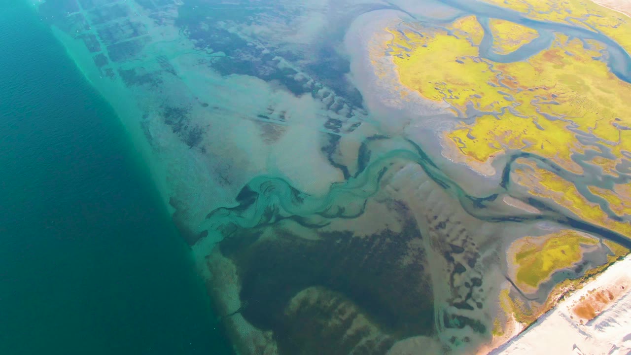 Aerial view of branching tidal channels across exposed flats beside blue-green water.