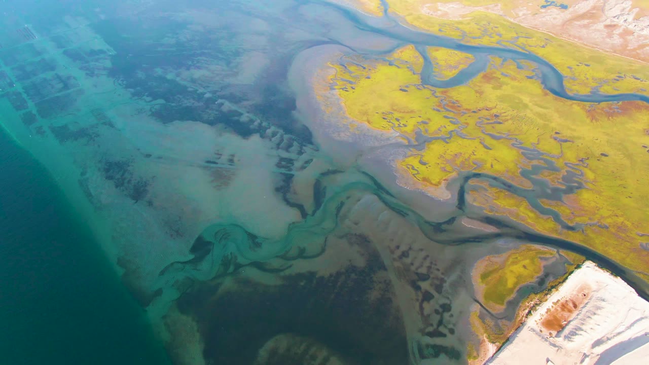 Overhead estuary channels between turquoise water and yellow marshland.