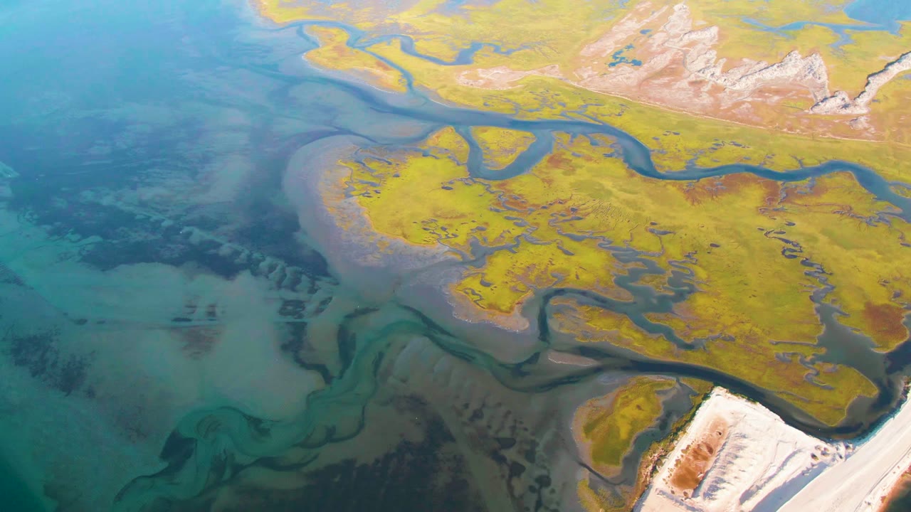 Overhead view of meandering water channels cutting through yellow-green terrain.