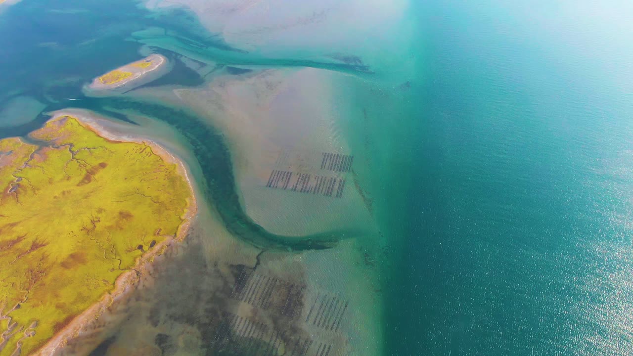 Aerial frame over Guerrero Negro, Baja California Sur, showing yellow dry land at lower left, pale shallow water, a dark winding channel, open blue water to the right, and no visible people.