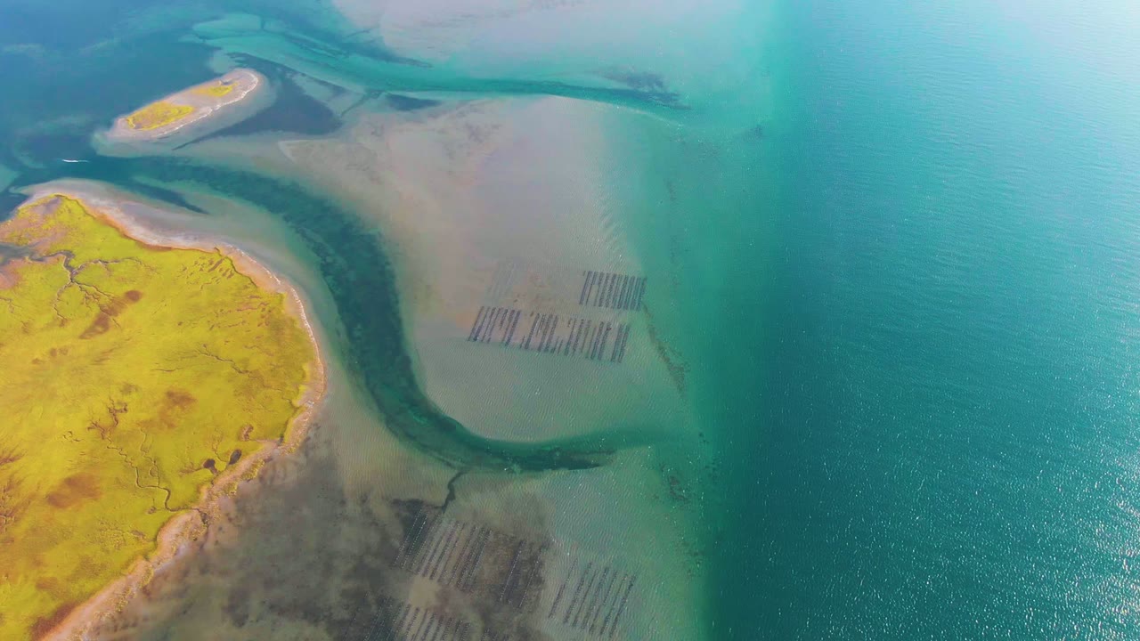 Aerial frame over Guerrero Negro showing arid yellow land along the left edge, a pale sandbar basin, a dark channel bending toward the top, blue water on the right, and no visible people.