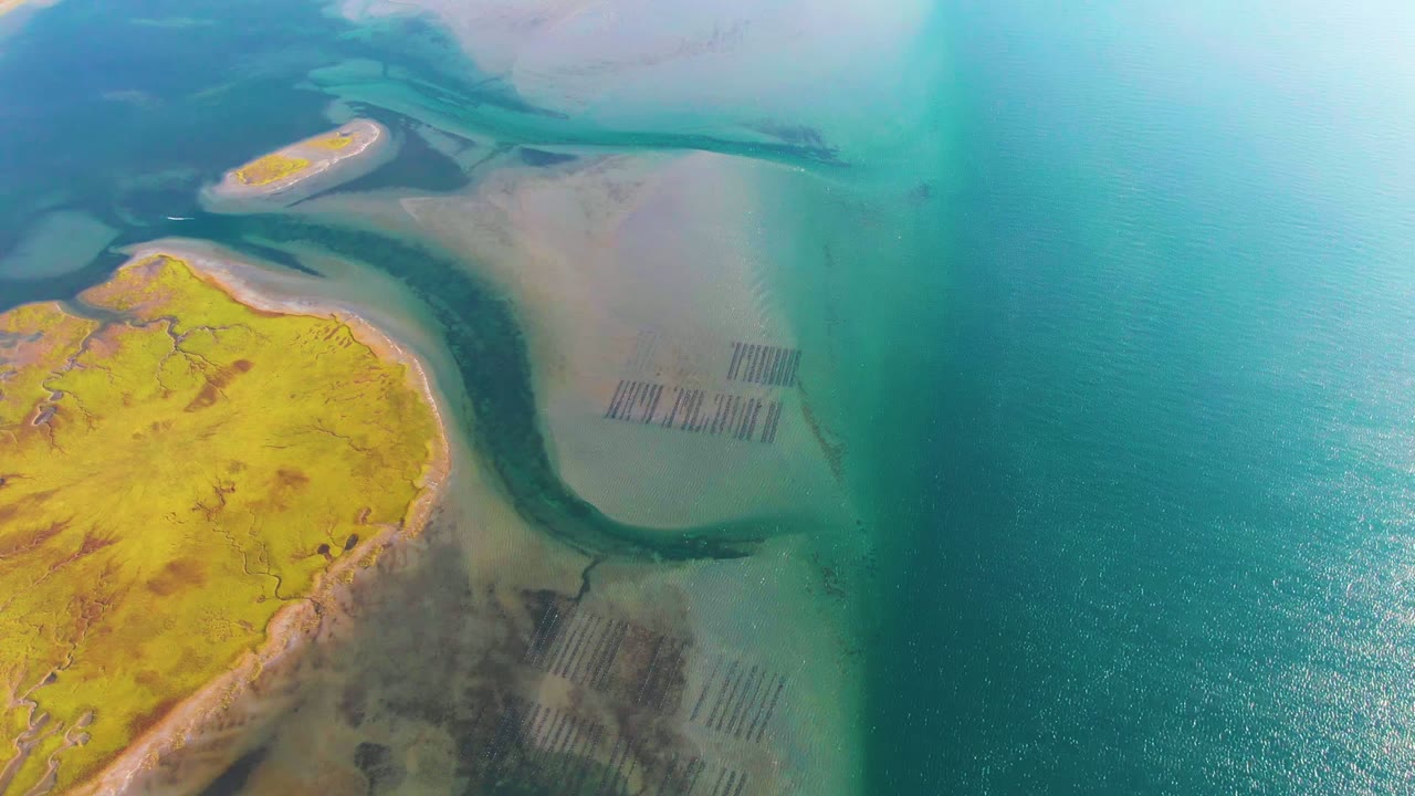 Aerial frame from Guerrero Negro, Baja California Sur showing yellow-green coastal land at left, a dark river channel through pale shallows, turquoise ocean at right, and no visible people.