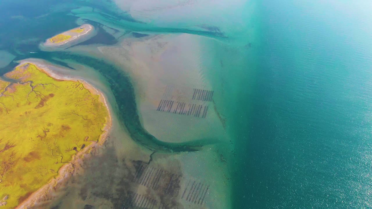 At 0:02, the Guerrero Negro coast appears from above with the river channel centered between yellow land at left and turquoise ocean at right, plus a small sandbar near the upper frame and no visible people.