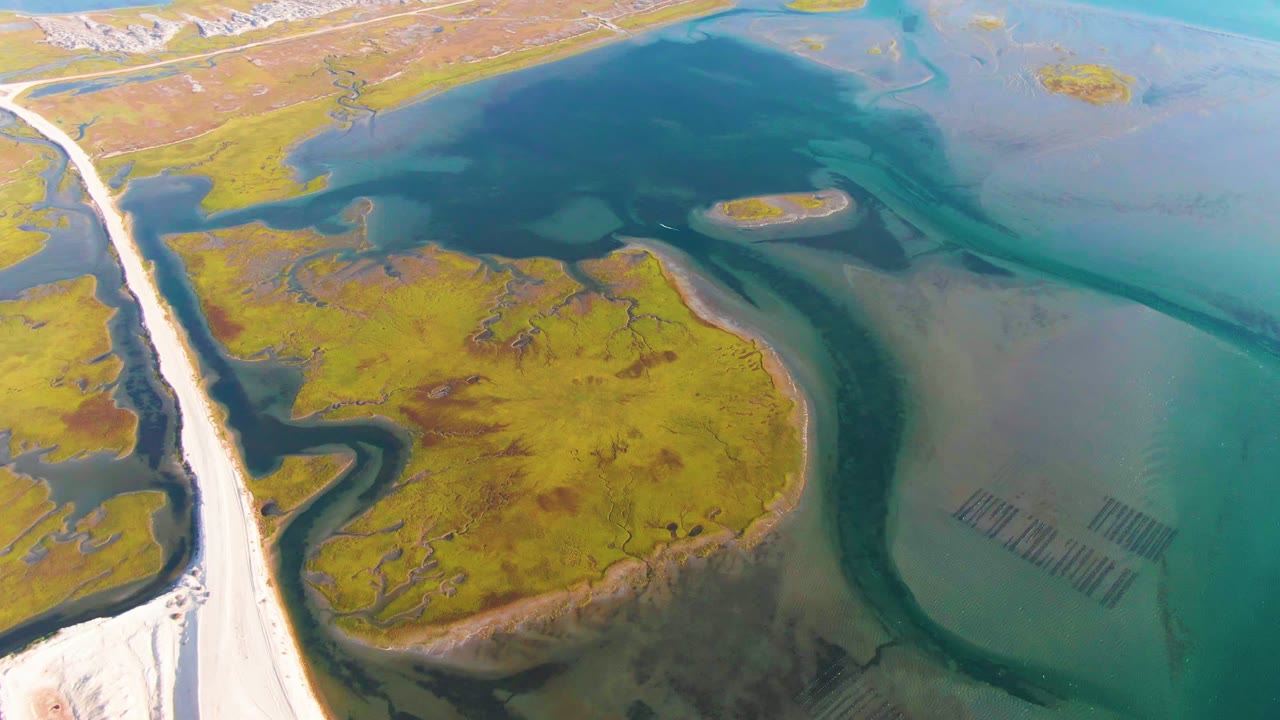Aerial view of marshland, road edge, and turquoise coastal water.