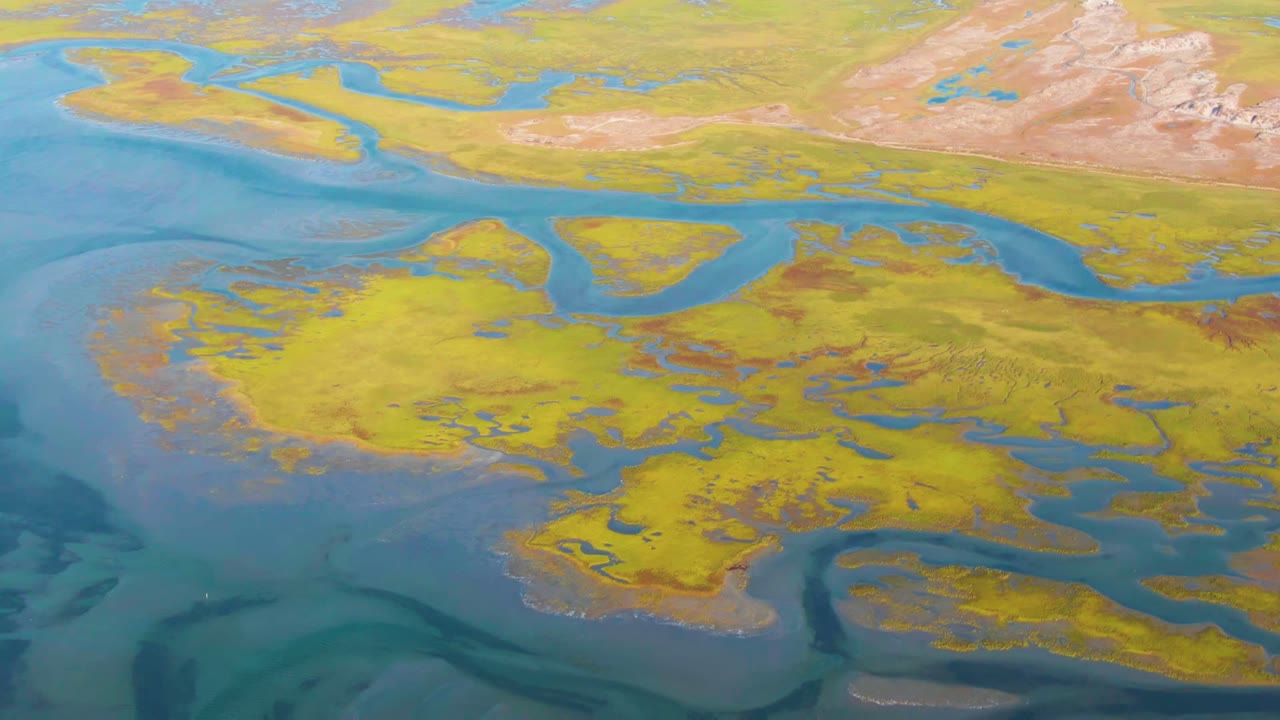 High aerial view over Guerrero Negro wetland terrain, with blue water channels cutting through yellow-green flats and no visible people.