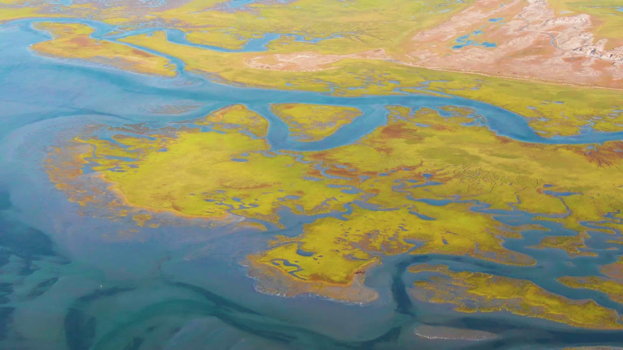 Blue channels winding through yellow wetland flats