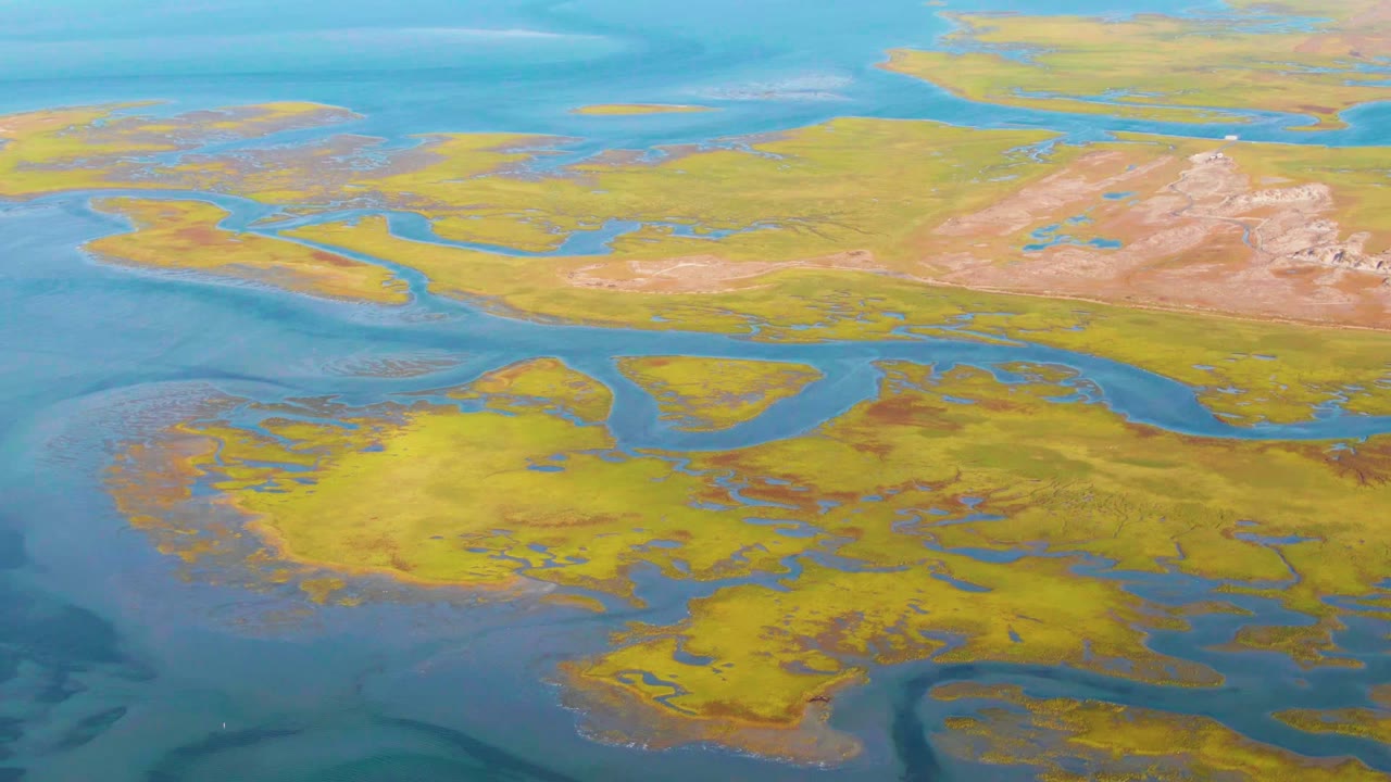 Aerial view over Guerrero Negro wetland terrain, with blue waterways winding through yellow green marsh vegetation and no visible people.