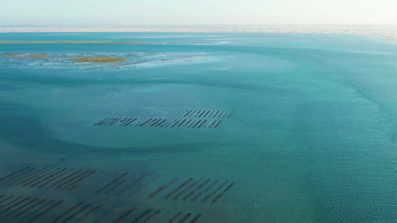High aerial frame over Guerrero Negro coastal water, showing dark parallel aquaculture rows beneath turquoise water, low islands near the horizon, bright haze, and no visible people.