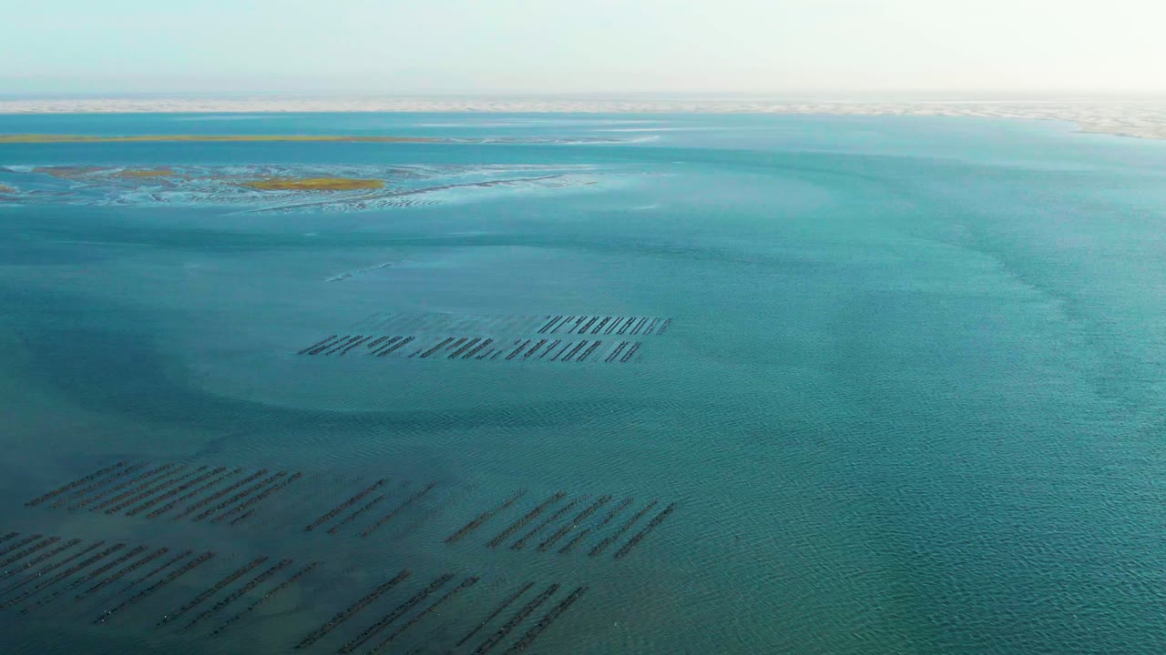 Aerial view of shallow blue water with rectangular aquaculture rows and distant island strips.