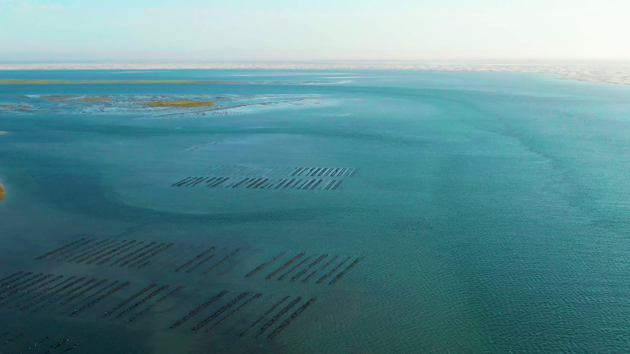 Wide Guerrero Negro aerial frame with aquaculture rows spread across the lower water, blue-green shallows in the middle distance, low islands beyond, and no visible people.