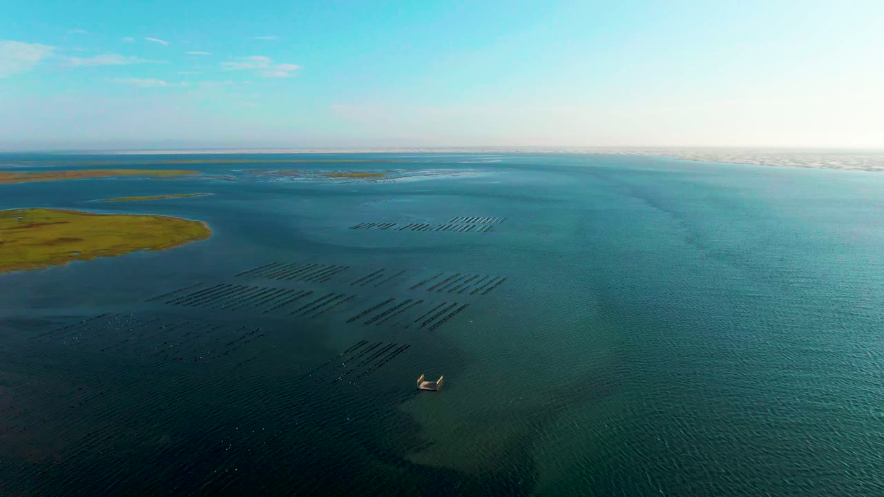 Wide drone view of dark aquaculture rows, open water, and a small boat near the lower edge.