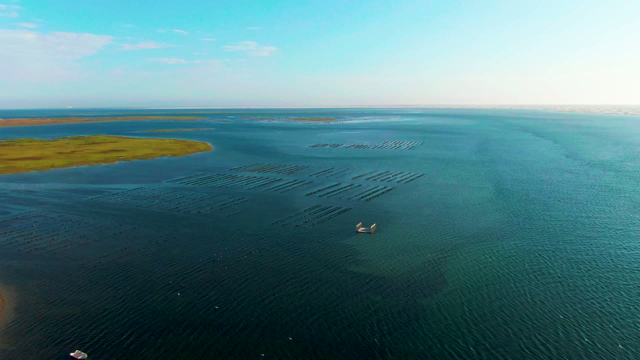Drone-like view over Guerrero Negro coastal water with dark aquaculture lines, two small boats separated in the lower half, green land on the left edge, and no visible people.