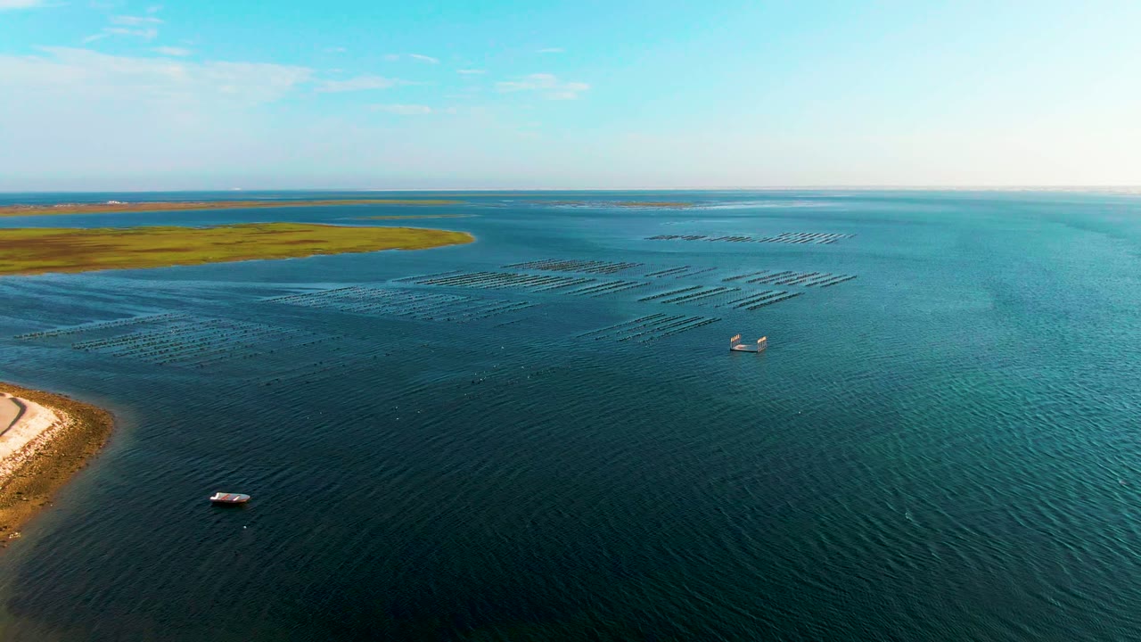 Aerial view over Guerrero Negro coastal water with a sandy shore entering at lower left, small boats offshore, patterned dark lines in the water, and green land on the horizon.