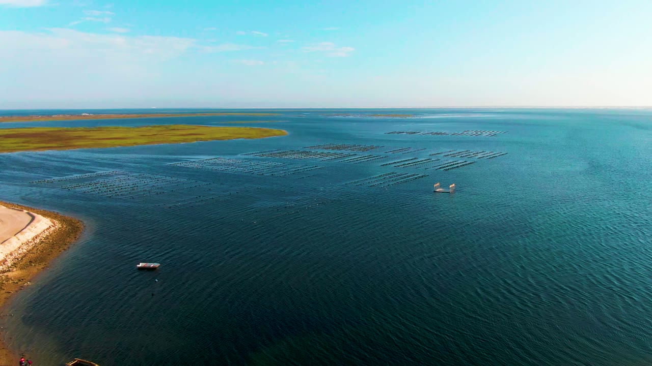Guerrero Negro coastal water fills most of the frame, with a thin sandy shore at lower left, small boats spaced across the midground, dark linear water texture, and a green land strip under blue sky.