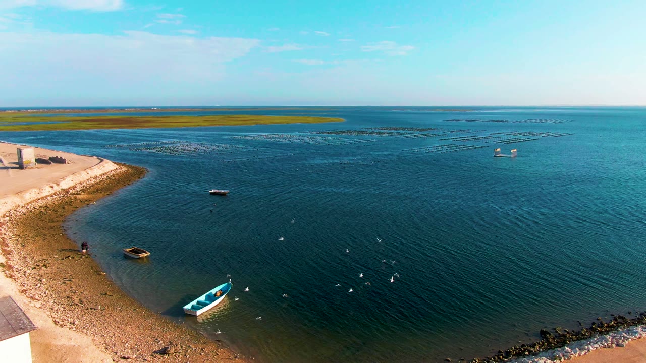 Early frame of the Guerrero Negro shoreline with a small blue-and-white boat close to the sand, darker boats farther out, low distant land, scattered clouds, and no visible people.