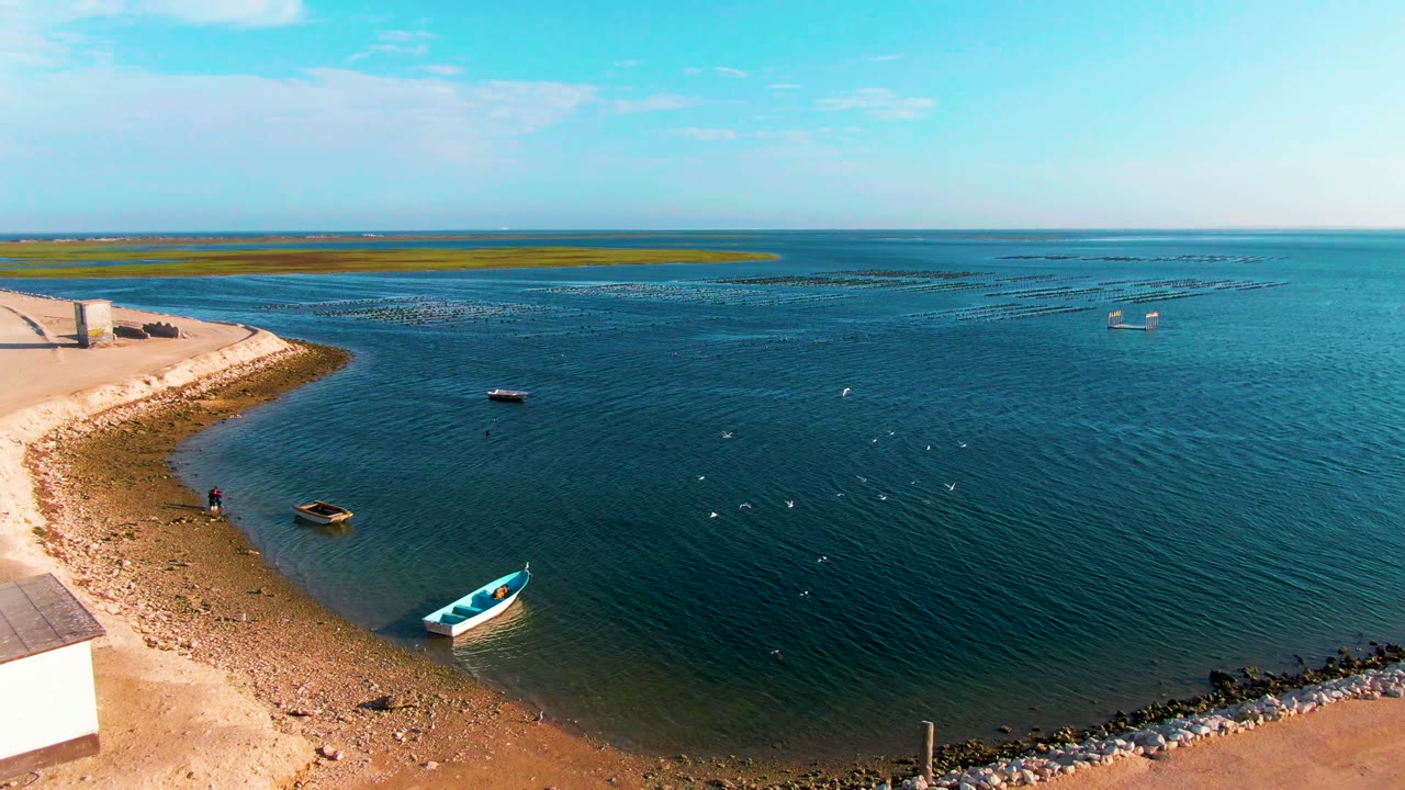 Aerial-looking view over Guerrero Negro water with the small blue-and-white boat near the lower shore, a darker boat offshore, low greenish land across the horizon, and no visible people.