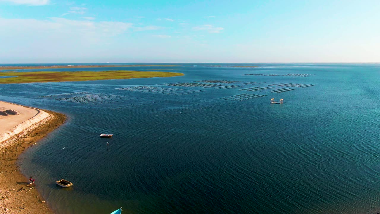 Wide aerial shoreline view with small boats and floating rows in calm water.