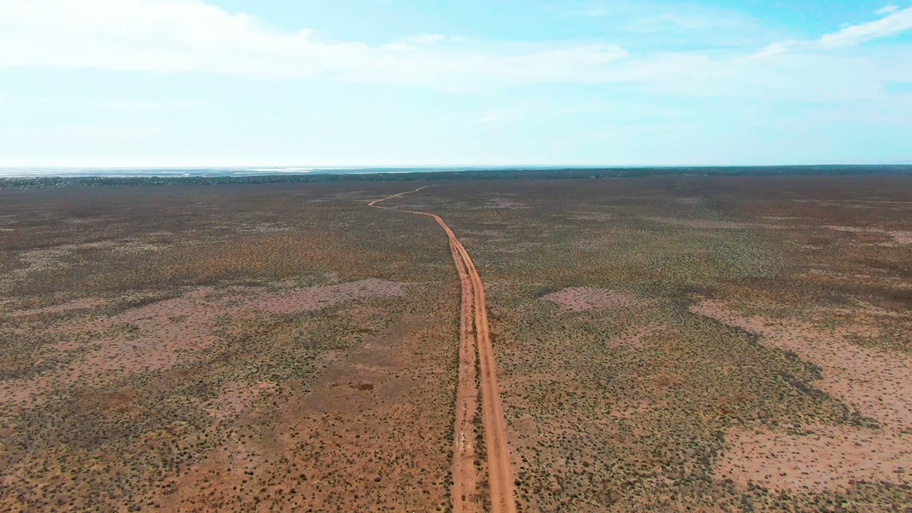 High aerial view of a straight dirt road cutting through sparse desert vegetation.