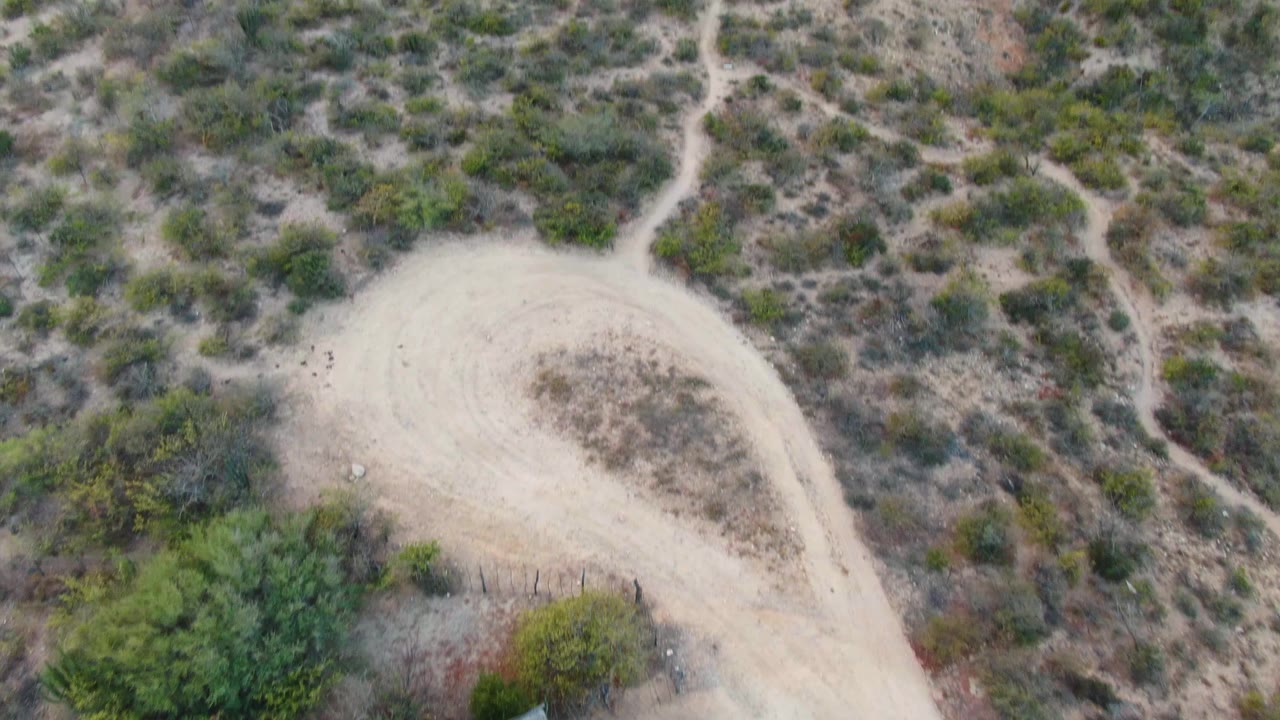 Higher overhead frame in Cabo Pulmo where the house has mostly left view and a pale dirt bend, scattered vegetation, and narrow desert paths dominate, with no visible people.