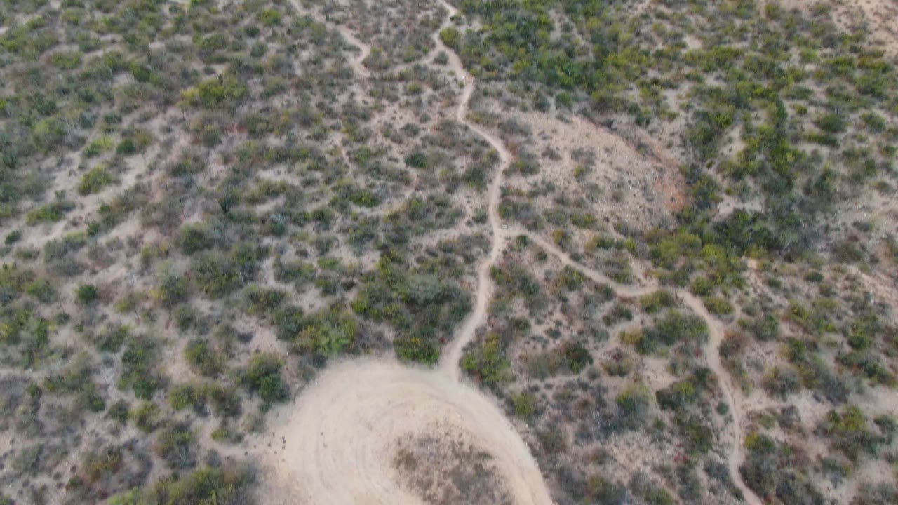 Overhead view in Cabo Pulmo, Baja California Sur, showing scrubby desert terrain crossed by pale dirt tracks and the top of a looping road, with no visible people.