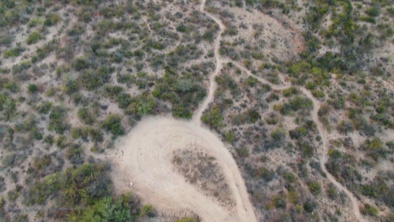 Drone-style overhead frame in Cabo Pulmo, Baja California Sur, with a wider pale road loop set among dry scrub and scattered narrow trails, with no visible people.