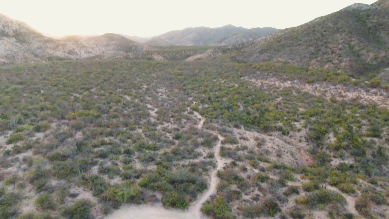Opening aerial frame over Cabo Pulmo desert terrain with scattered shrubs, pale dirt paths, low mountains on the horizon, and no visible people.