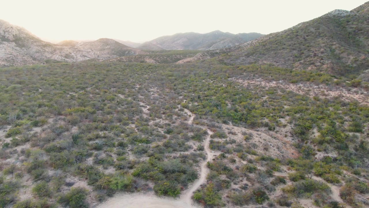 Cabo Pulmo aerial frame with a winding pale dirt track running through sparse shrubs toward rounded desert hills, with no visible people.
