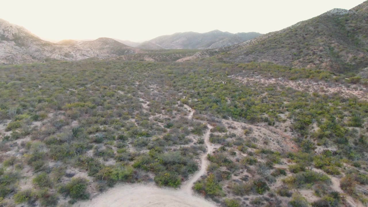 Aerial view in Cabo Pulmo showing dry shrubland, a narrow dirt trail across the slope, muted green vegetation, distant mountains, and no visible people.