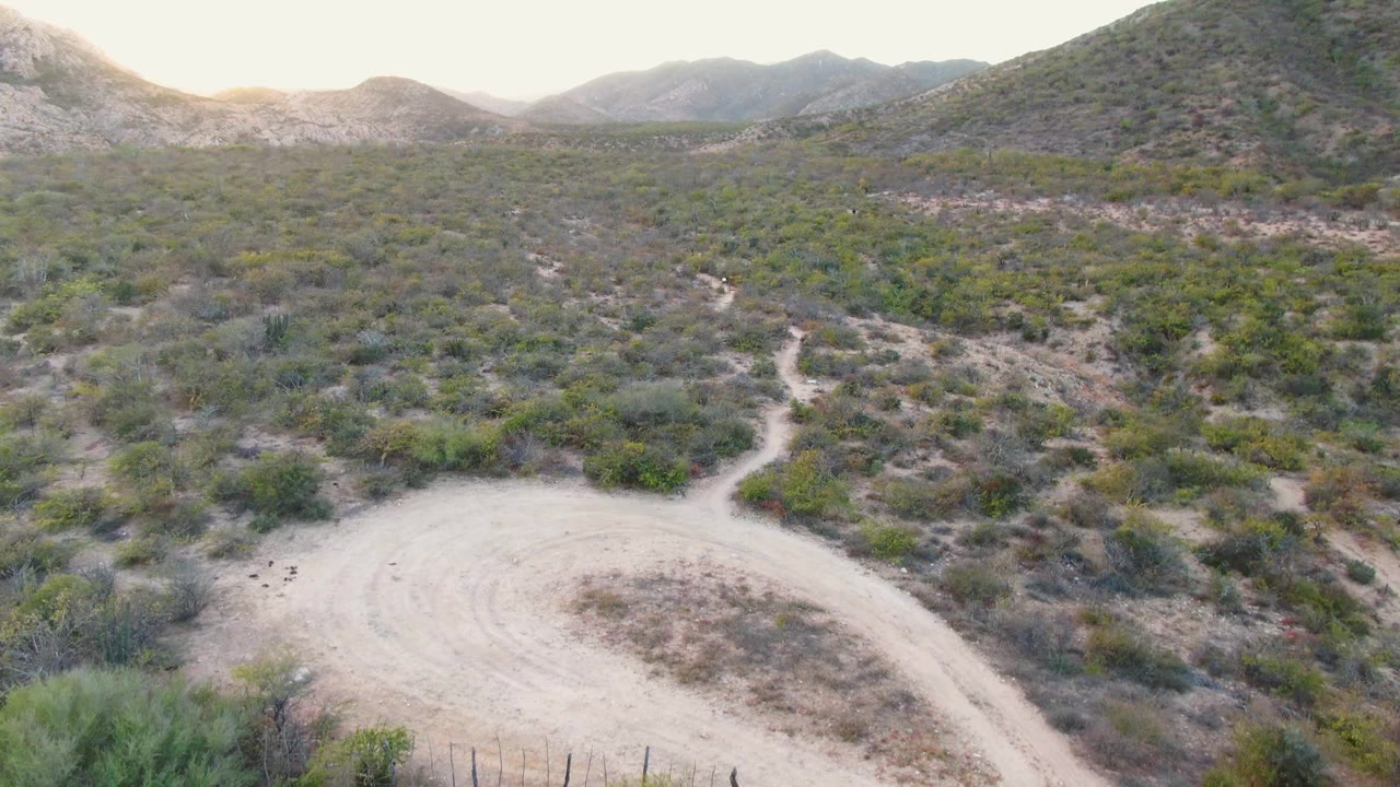Cabo Pulmo arid landscape with the curved dirt track in the lower frame, dense low brush across the slope, and layered hills beyond, with no visible people.