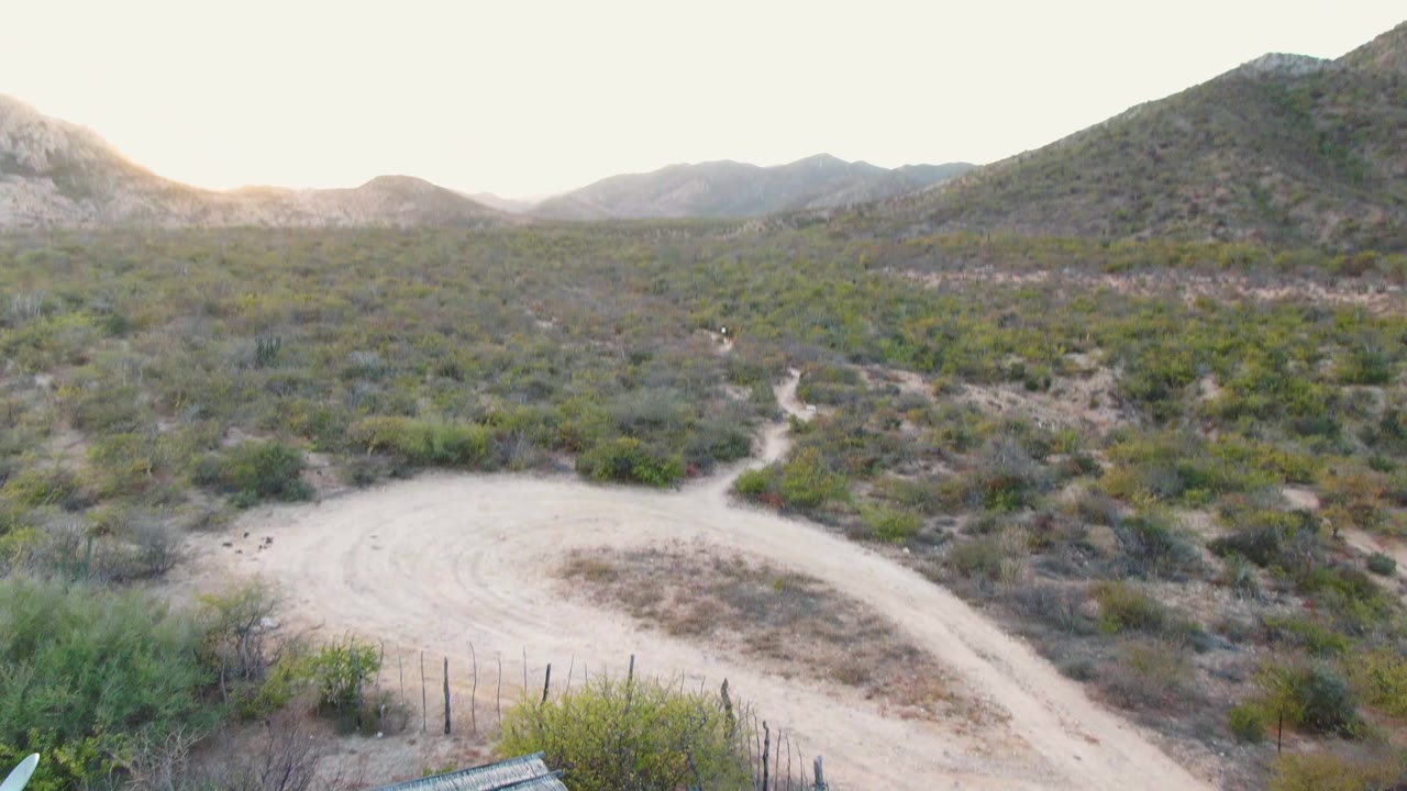 Curving dirt road through desert shrubs below low mountains.