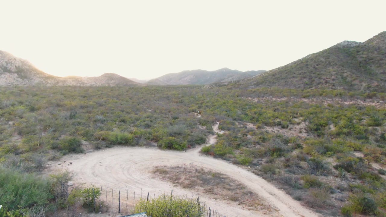 Cabo Pulmo scrubland and a pale dirt road curve across the foreground, with rounded hills in the distance and no visible people in the frame.