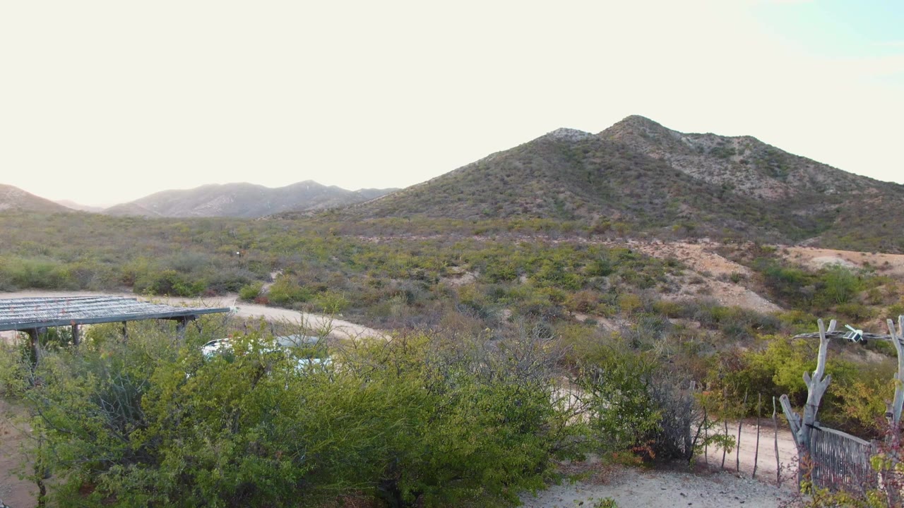 Elevated Cabo Pulmo view with the carport roof extending from the left, a white car partly obscured by green shrubs, a pale dirt track, rocky hills, and no visible people.