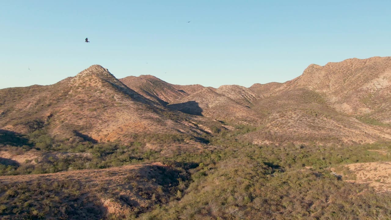 Rocky Cabo Pulmo hills stretch across the frame while small birds are visible against the blue sky and no people appear.