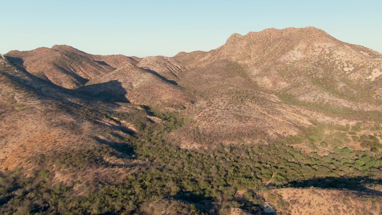 Aerial view near Cabo Pulmo, Baja California Sur, with sunlit dry slopes, scattered green trees across the lower valley, rocky ridges, and no visible people.