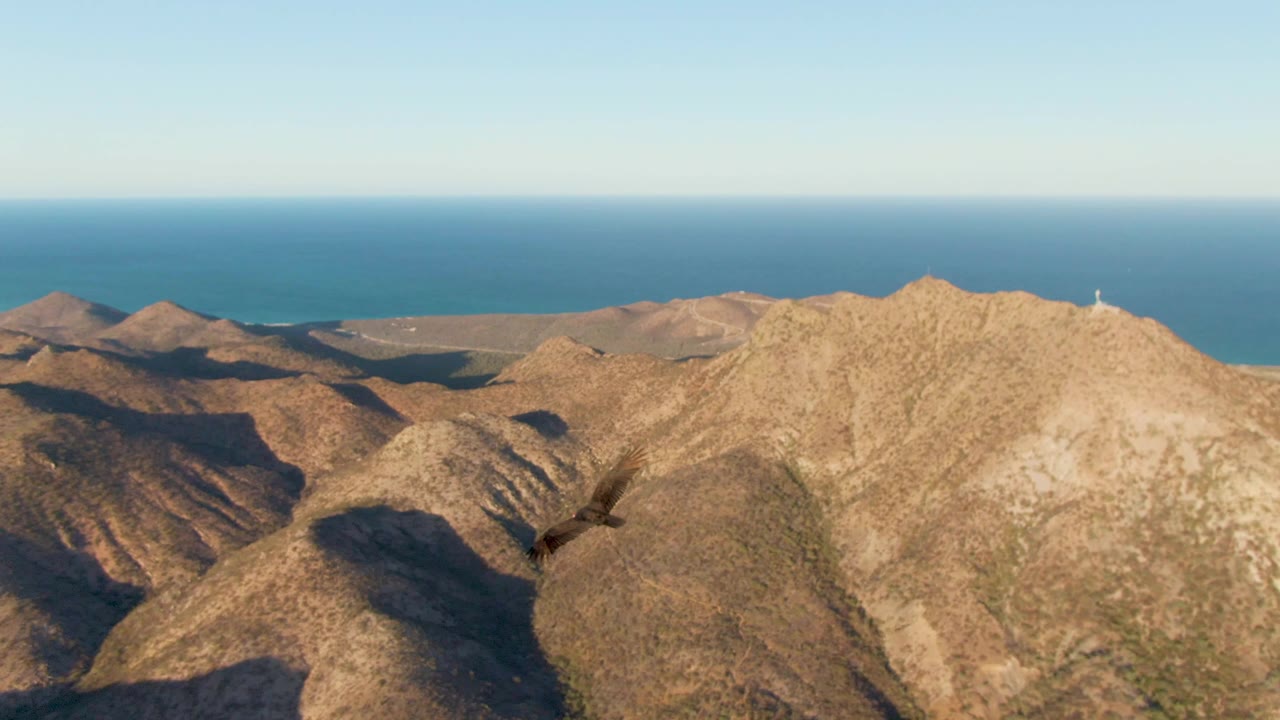 Wide aerial view of arid mountain peaks in Cabo Pulmo, Baja California Sur, with the blue ocean and clear sky behind them and no visible people.