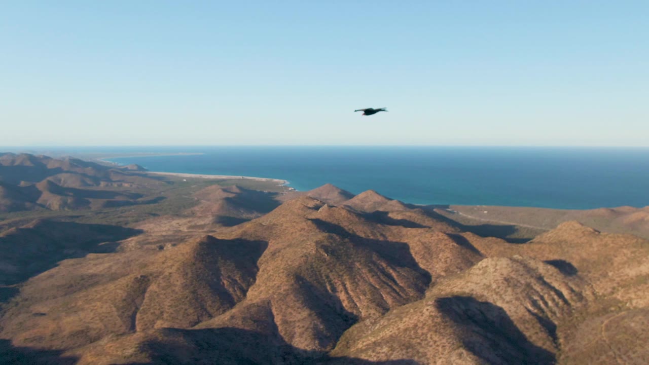 Wide aerial view of mountain ridges with a bird high in the sky.