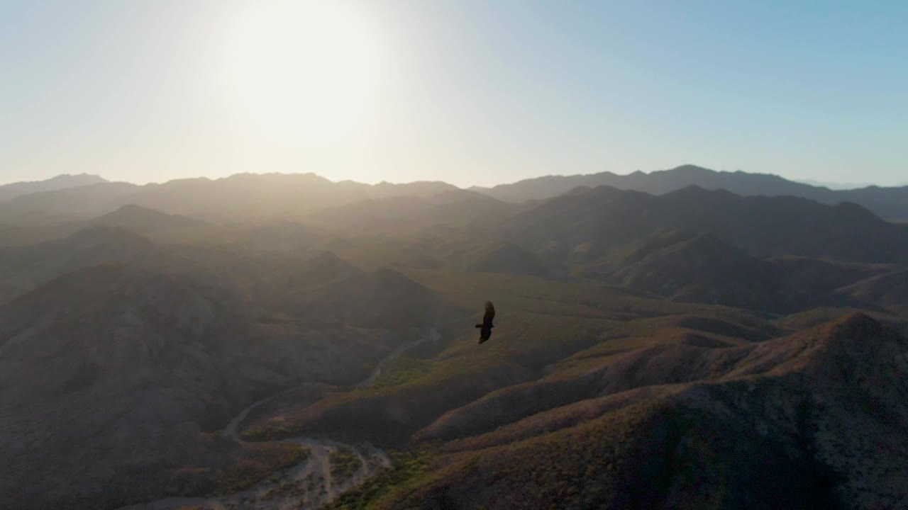 A dark bird shape crosses near the center of a wide aerial view of Cabo Pulmo mountains, with a winding dirt road below and no visible people.