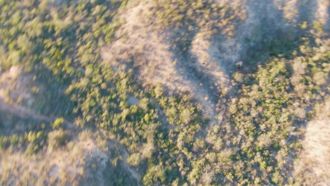 Top-down aerial frame over dry tan terrain and scattered green shrubs in Cabo Pulmo, with no visible people.