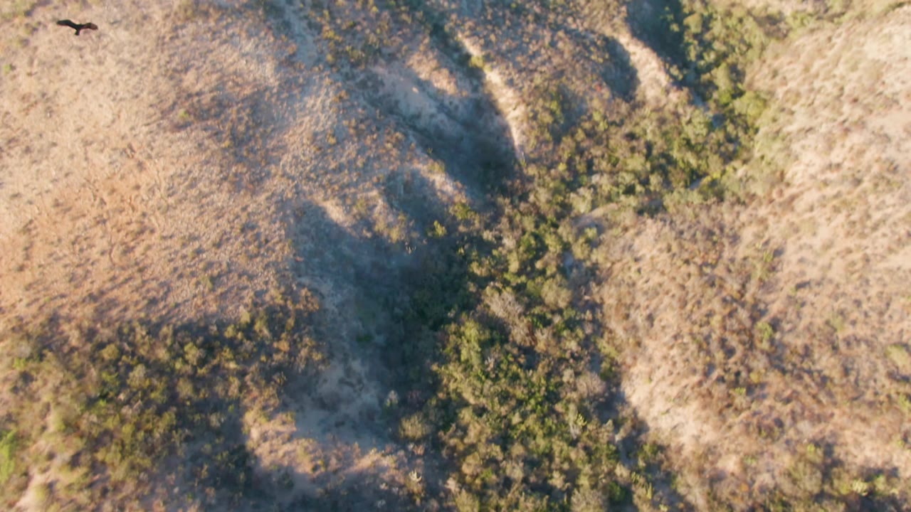 Aerial view of Cabo Pulmo arid hills with scrub vegetation, shadowed folds, and no visible people.