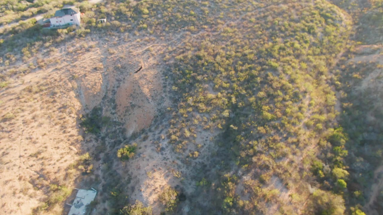 Drone frame over Cabo Pulmo terrain with a light-roofed building near the upper right, patchy green vegetation across tan slopes, dirt lines, and no visible people.